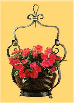 Blumenampel