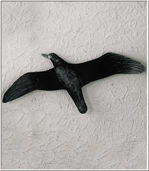 Wandbild Möwe, Fassadenschmuck